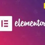 Elementor Pro Wordpress Plugin